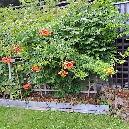 Ferienwohnung Brenner Bruck an der Mur Esterno foto