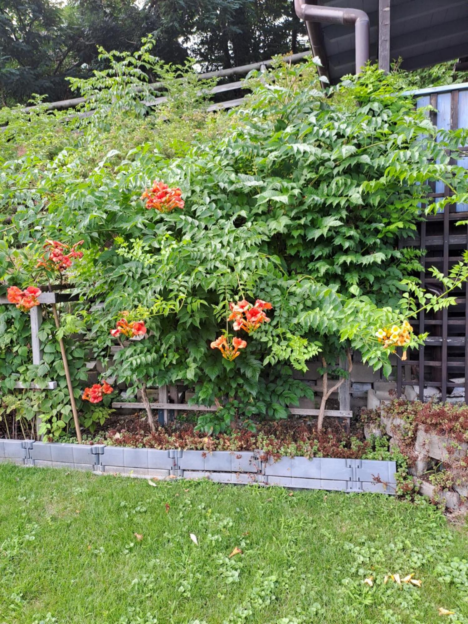 Ferienwohnung Brenner Bruck an der Mur Esterno foto